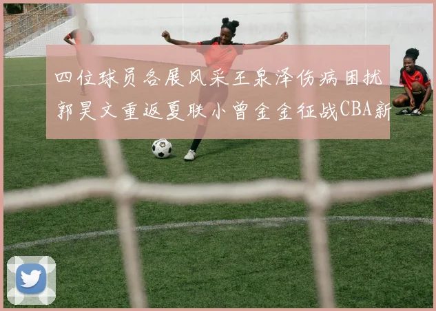 四位球员各展风采王泉泽伤病困扰郭昊文重返夏联小曾金金征战CBA新赛季